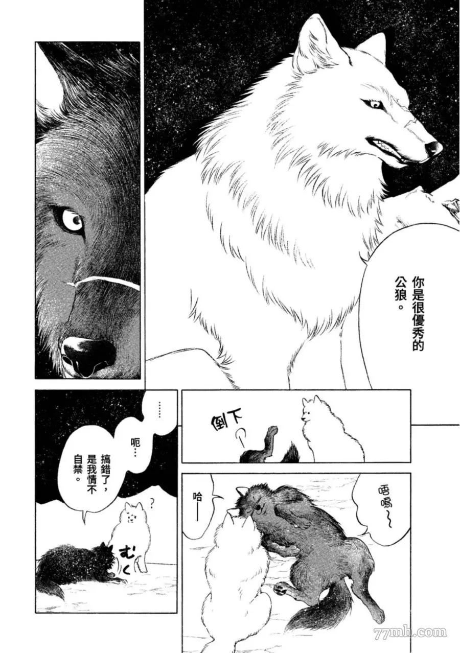 《WOLF PACK 狼族》漫画最新章节第1卷免费下拉式在线观看章节第【31】张图片