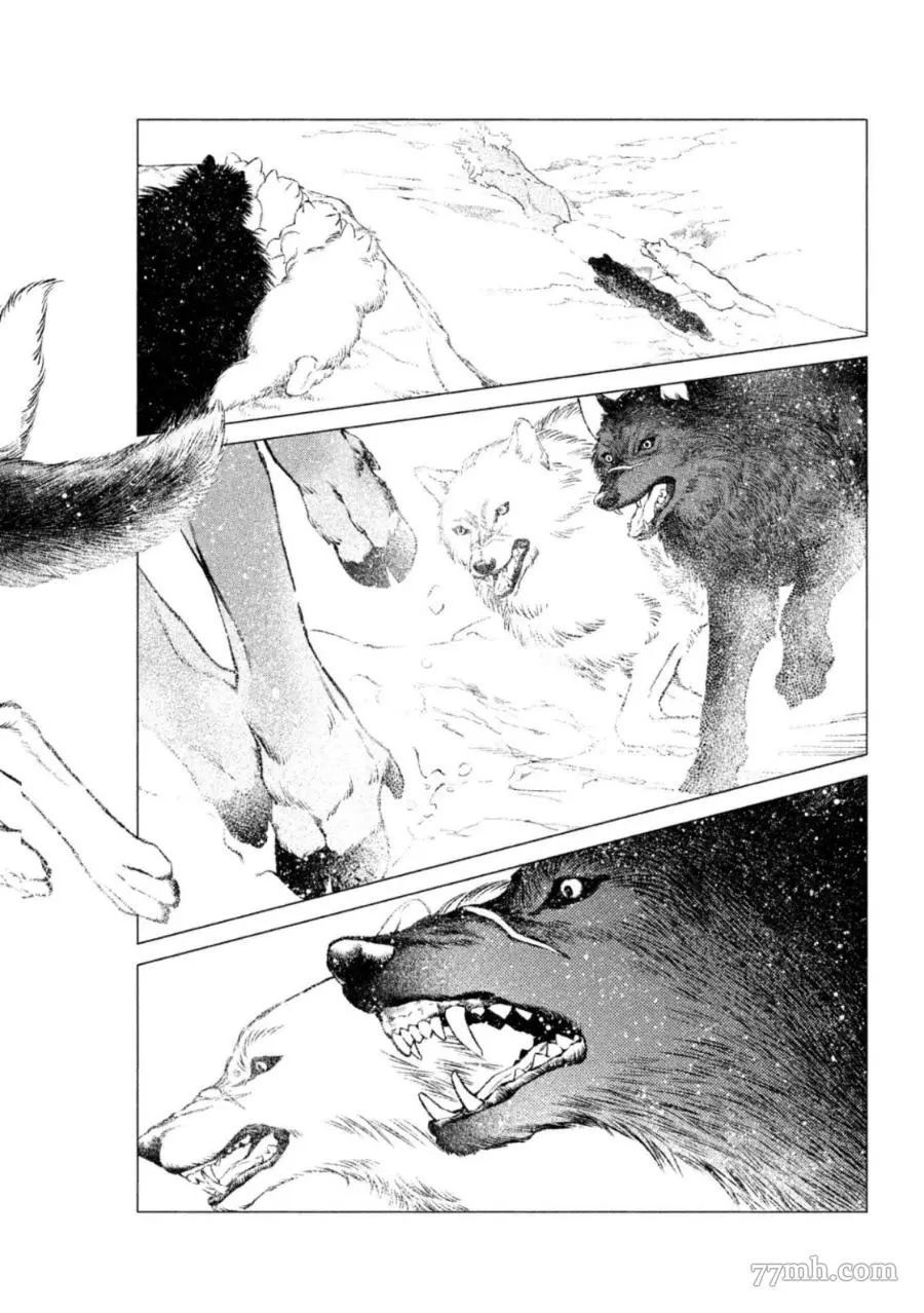 《WOLF PACK 狼族》漫画最新章节第1卷免费下拉式在线观看章节第【37】张图片