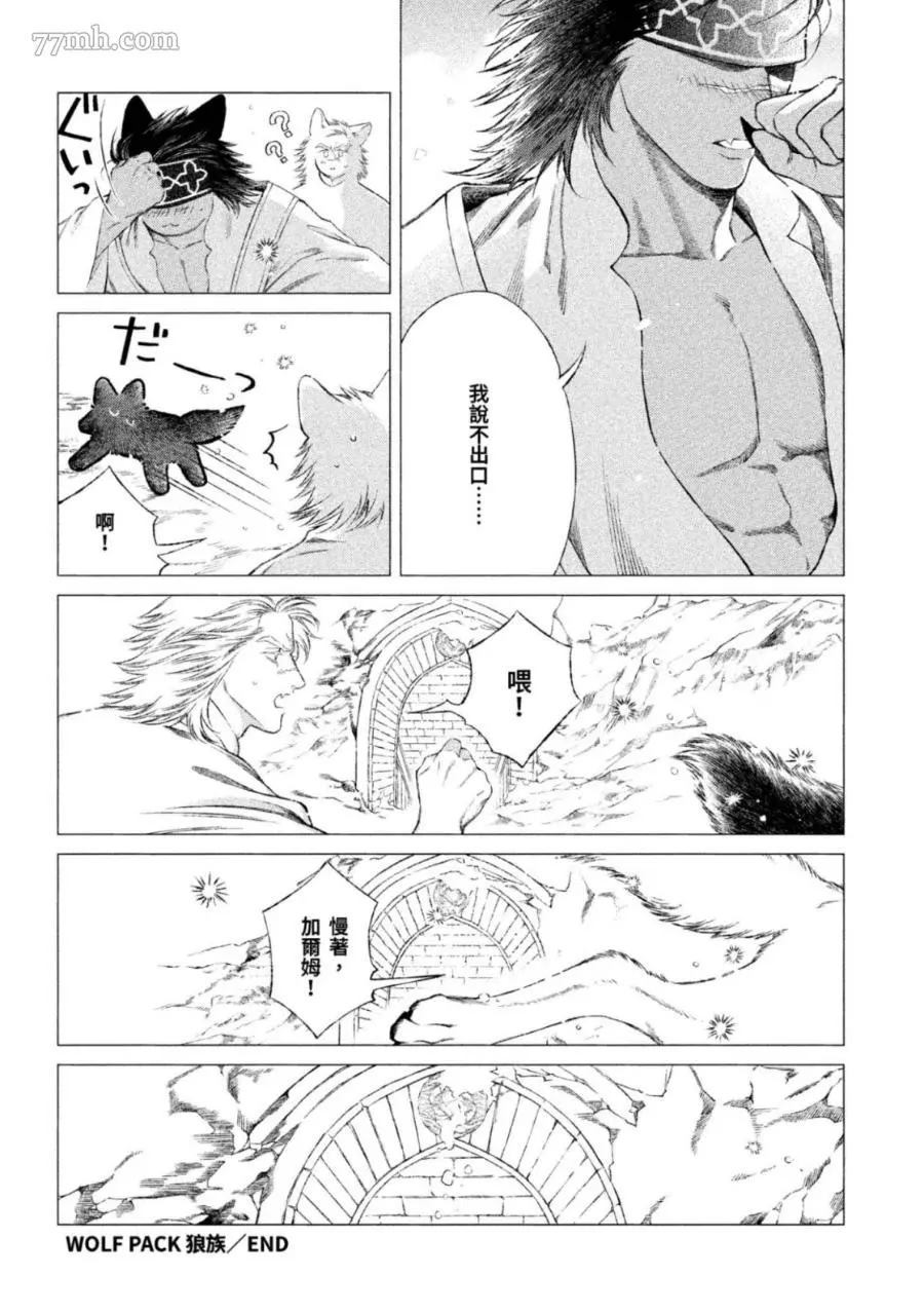 《WOLF PACK 狼族》漫画最新章节第1卷免费下拉式在线观看章节第【177】张图片