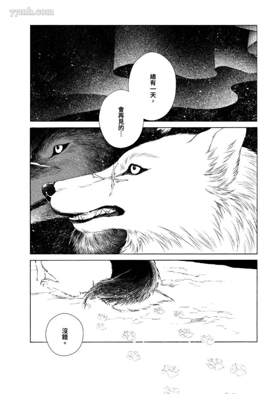 《WOLF PACK 狼族》漫画最新章节第1卷免费下拉式在线观看章节第【30】张图片