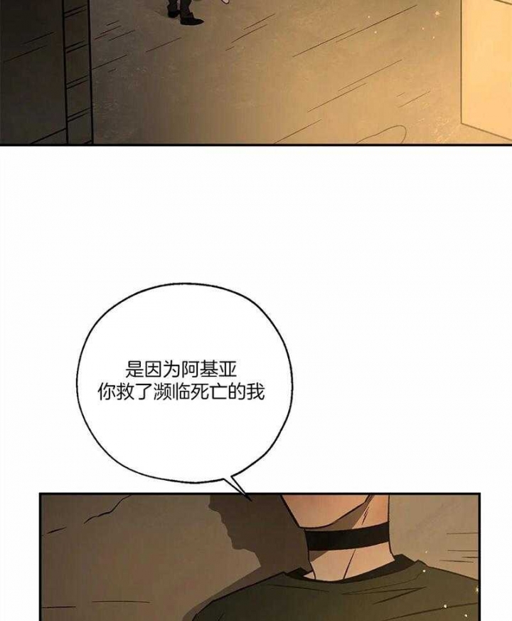 《血之诅咒》漫画最新章节第72话免费下拉式在线观看章节第【37】张图片