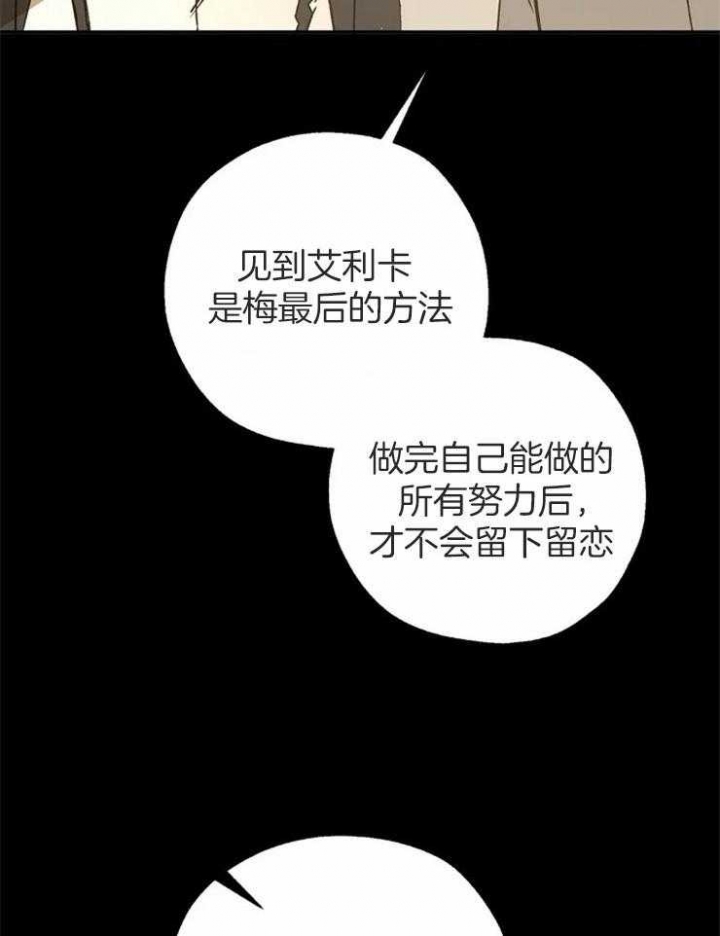 《血之诅咒》漫画最新章节第81话免费下拉式在线观看章节第【31】张图片