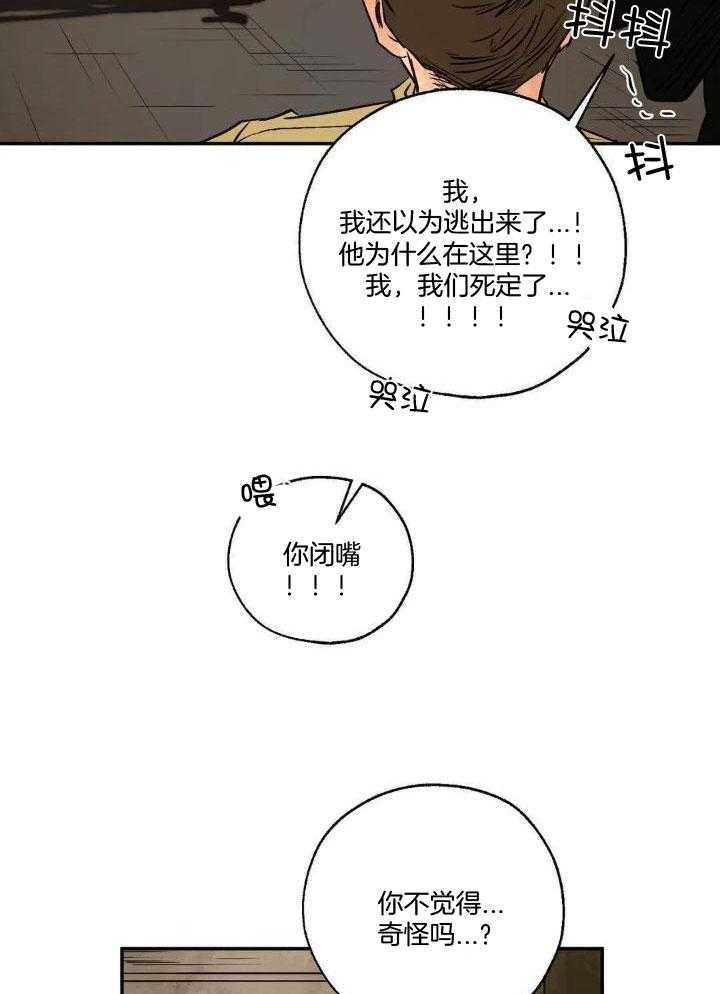 《血之诅咒》漫画最新章节第89话免费下拉式在线观看章节第【31】张图片