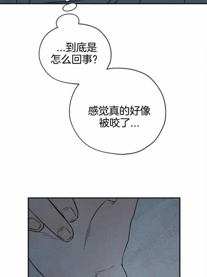 《血之诅咒》漫画最新章节第73话免费下拉式在线观看章节第【27】张图片