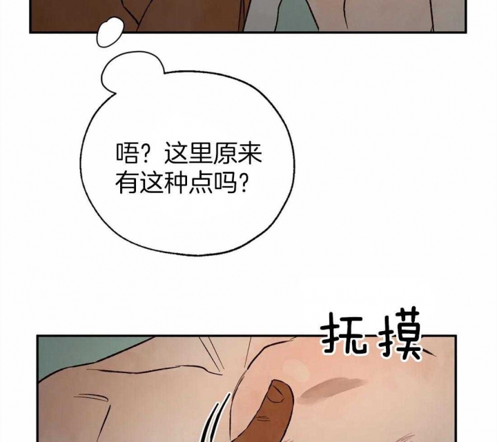 《血之诅咒》漫画最新章节第46话免费下拉式在线观看章节第【19】张图片