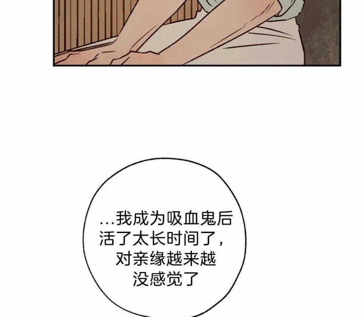 《血之诅咒》漫画最新章节第66话免费下拉式在线观看章节第【14】张图片