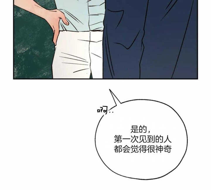 《血之诅咒》漫画最新章节第58话免费下拉式在线观看章节第【32】张图片