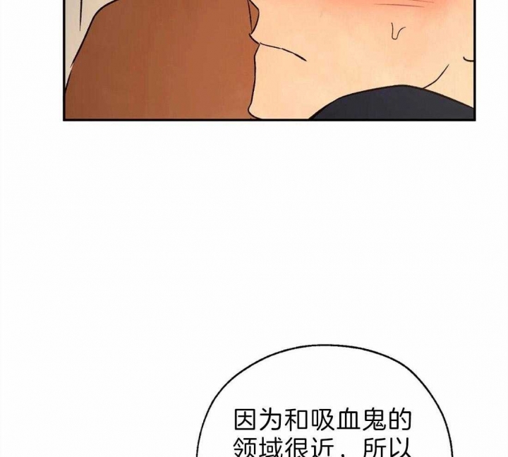 《血之诅咒》漫画最新章节第55话免费下拉式在线观看章节第【19】张图片