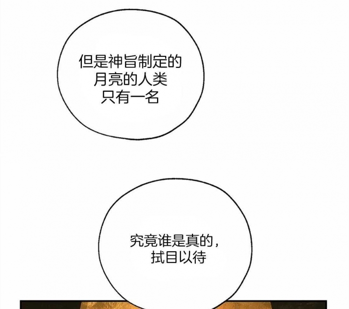 《血之诅咒》漫画最新章节第47话免费下拉式在线观看章节第【6】张图片