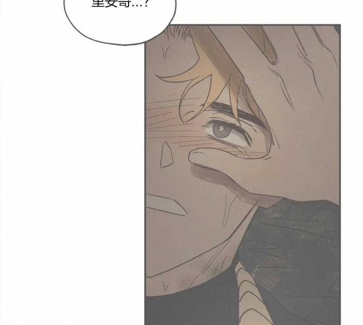 《血之诅咒》漫画最新章节第67话免费下拉式在线观看章节第【31】张图片