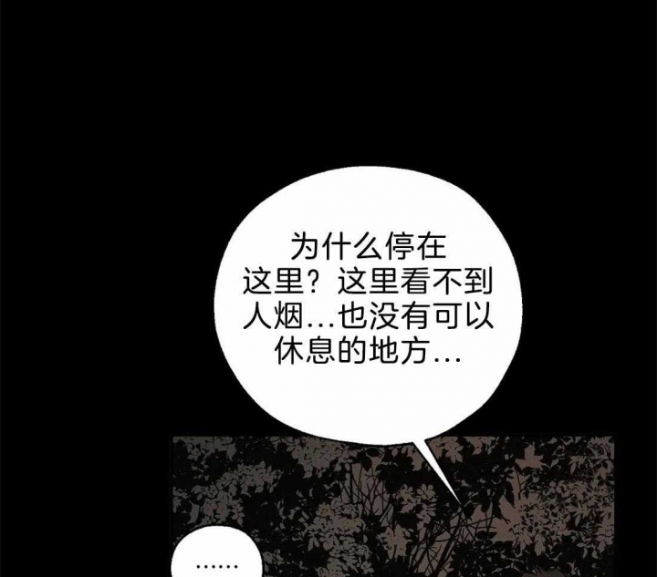 《血之诅咒》漫画最新章节第78话免费下拉式在线观看章节第【27】张图片