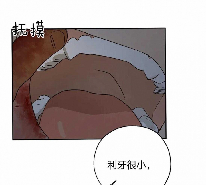 《血之诅咒》漫画最新章节第38话免费下拉式在线观看章节第【18】张图片