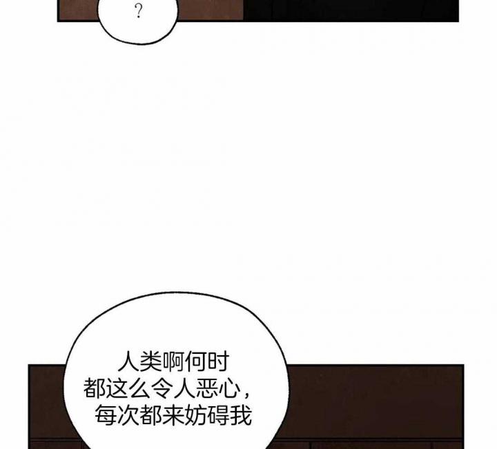 《血之诅咒》漫画最新章节第36话免费下拉式在线观看章节第【38】张图片