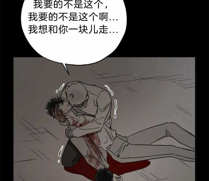 《血之诅咒》漫画最新章节第79话免费下拉式在线观看章节第【15】张图片