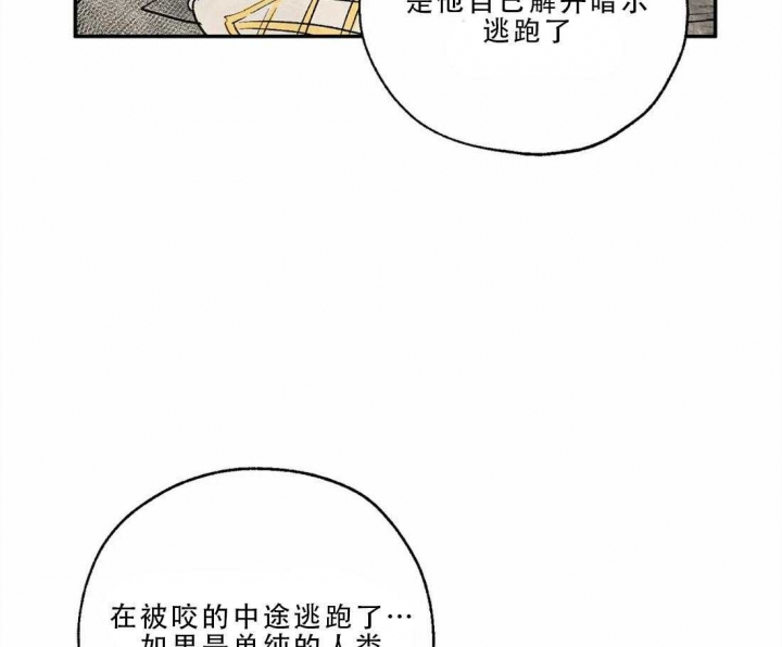 《血之诅咒》漫画最新章节第20话免费下拉式在线观看章节第【9】张图片