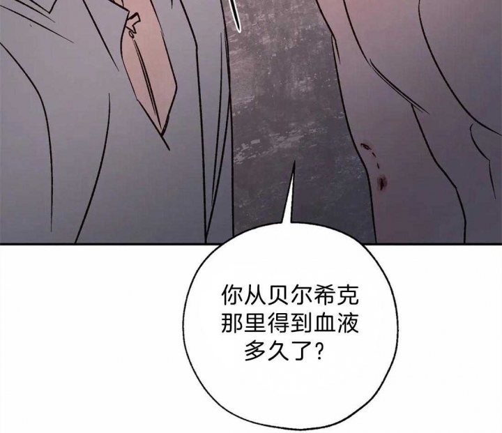 《血之诅咒》漫画最新章节第66话免费下拉式在线观看章节第【51】张图片