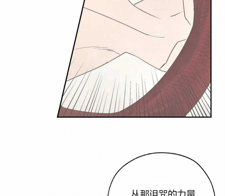 《血之诅咒》漫画最新章节第47话免费下拉式在线观看章节第【29】张图片