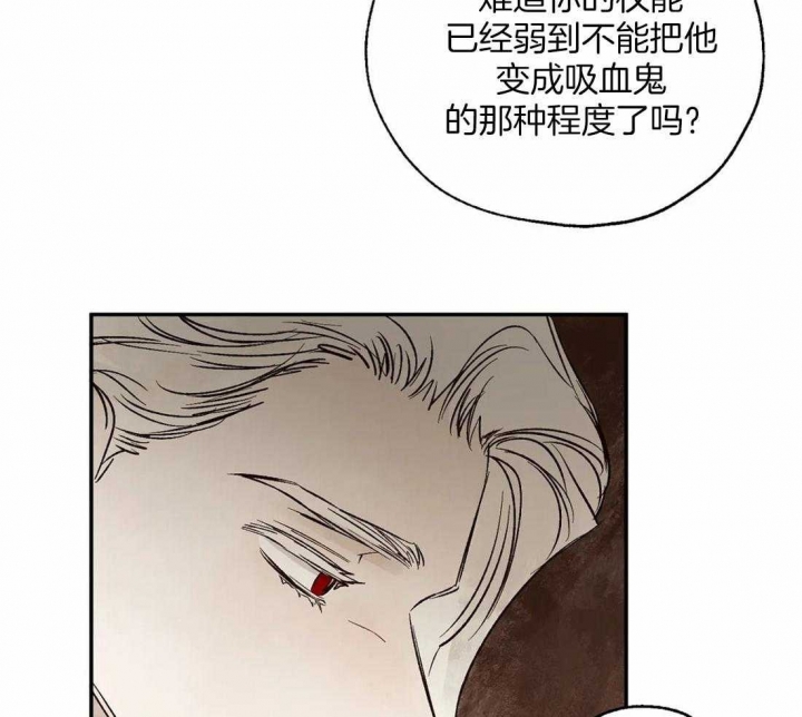 《血之诅咒》漫画最新章节第36话免费下拉式在线观看章节第【29】张图片