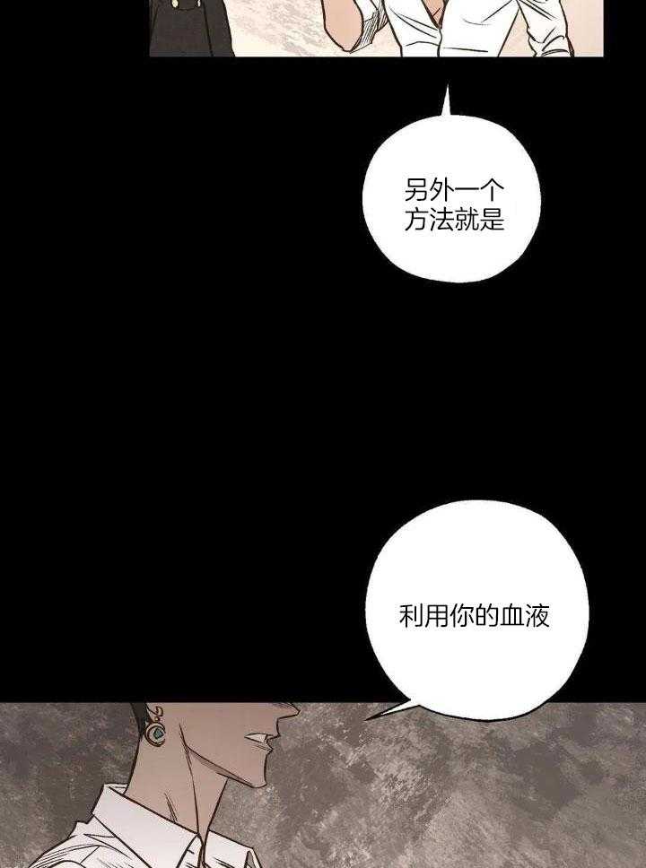 《血之诅咒》漫画最新章节第91话免费下拉式在线观看章节第【33】张图片