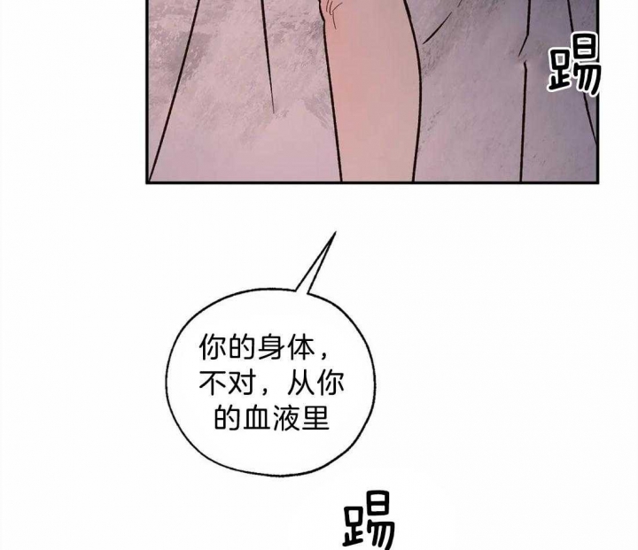 《血之诅咒》漫画最新章节第66话免费下拉式在线观看章节第【48】张图片