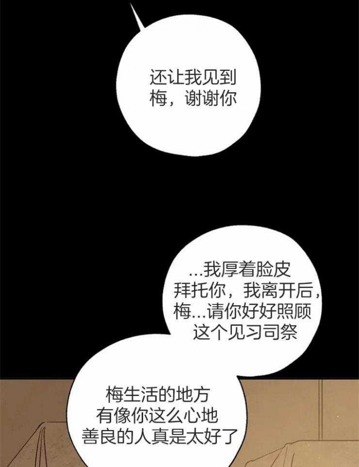 《血之诅咒》漫画最新章节第81话免费下拉式在线观看章节第【36】张图片