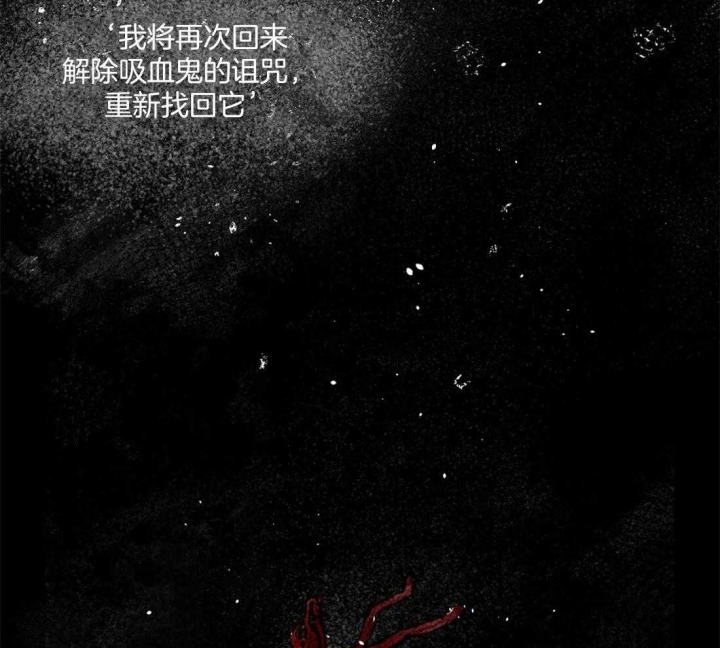 《血之诅咒》漫画最新章节第42话免费下拉式在线观看章节第【25】张图片