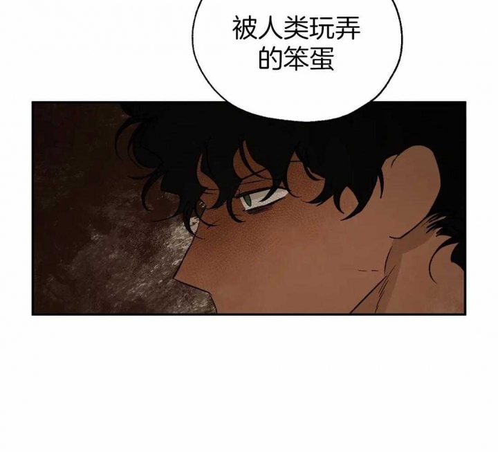 《血之诅咒》漫画最新章节第36话免费下拉式在线观看章节第【45】张图片