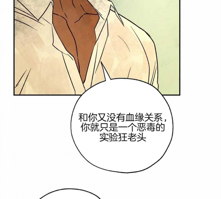 《血之诅咒》漫画最新章节第52话免费下拉式在线观看章节第【14】张图片