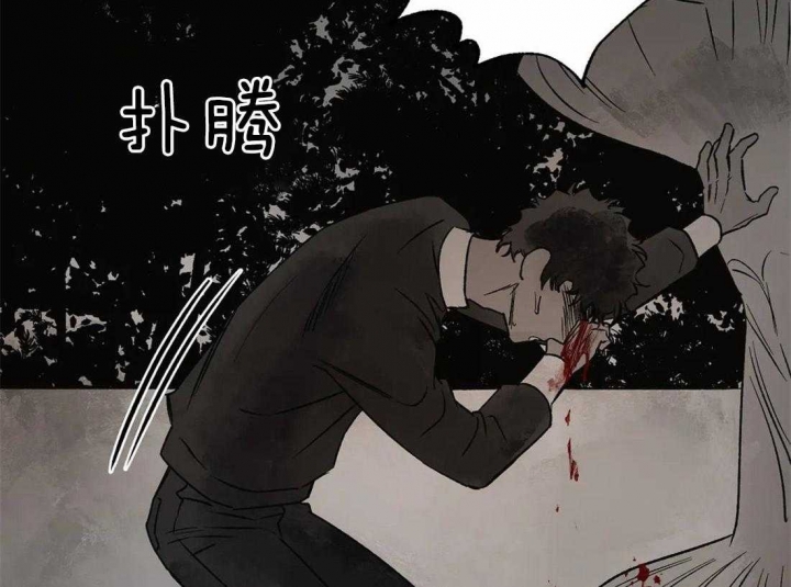 《血之诅咒》漫画最新章节第78话免费下拉式在线观看章节第【53】张图片