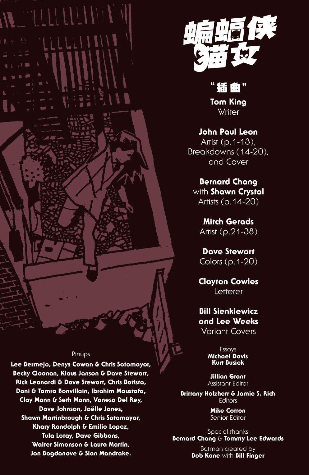 《蝙蝠侠猫女》漫画最新章节特刊免费下拉式在线观看章节第【3】张图片