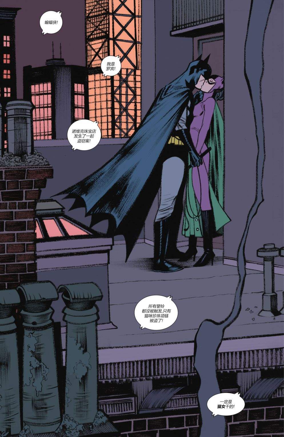 《蝙蝠侠猫女》漫画最新章节特刊免费下拉式在线观看章节第【17】张图片