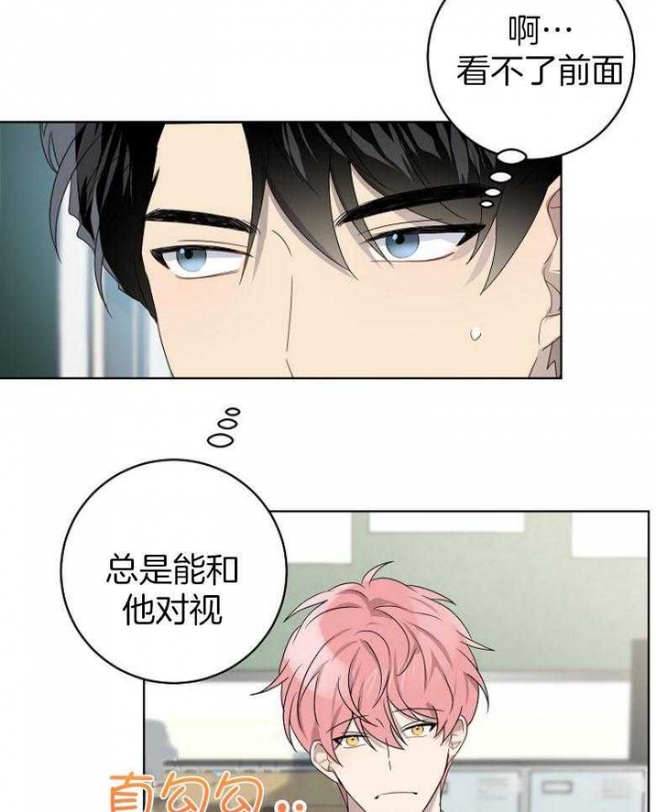 《10M内禁止接近》漫画最新章节第137话免费下拉式在线观看章节第【10】张图片