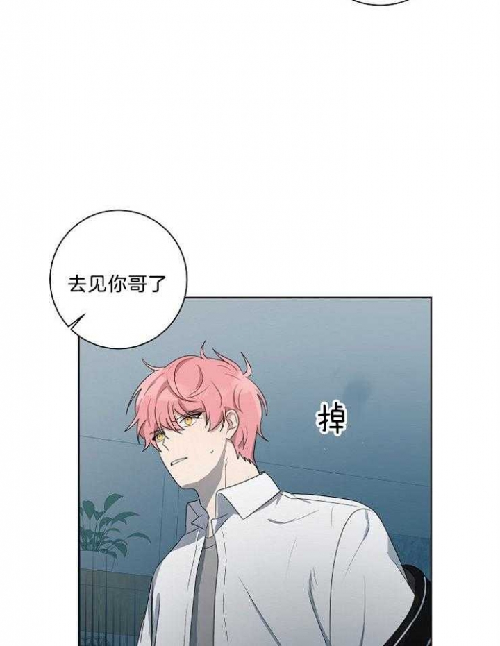 《10M内禁止接近》漫画最新章节第85话免费下拉式在线观看章节第【4】张图片