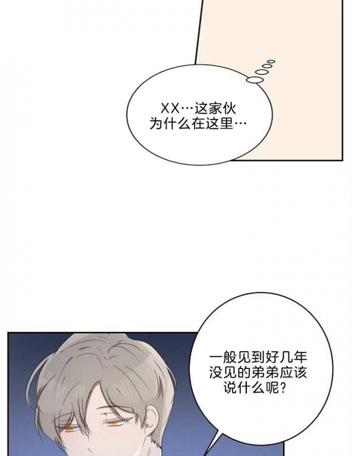 《10M内禁止接近》漫画最新章节第29话免费下拉式在线观看章节第【8】张图片