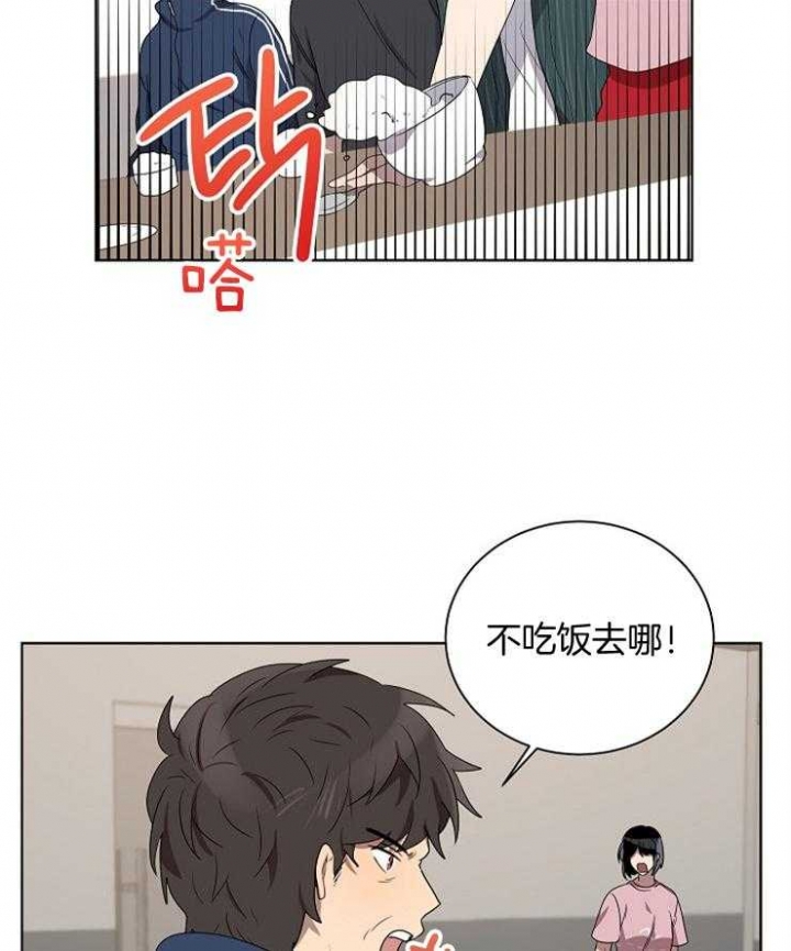 《10M内禁止接近》漫画最新章节第116话免费下拉式在线观看章节第【29】张图片