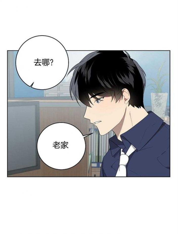 《10M内禁止接近》漫画最新章节第115话免费下拉式在线观看章节第【5】张图片