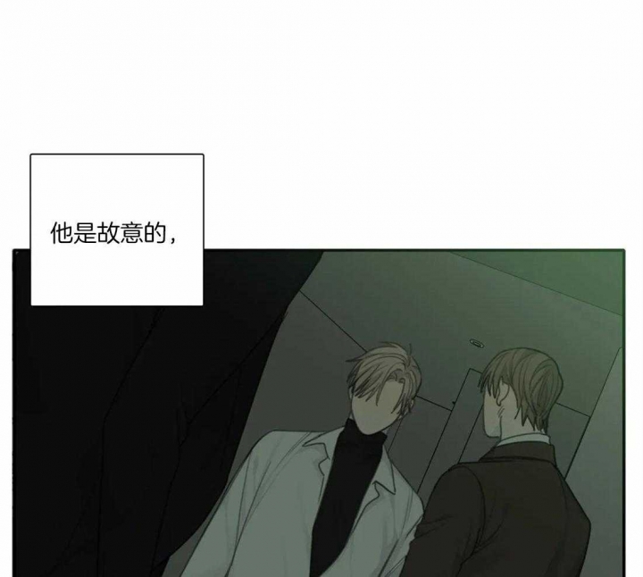 《狂犬(第二季更新)》漫画最新章节第43话免费下拉式在线观看章节第【31】张图片