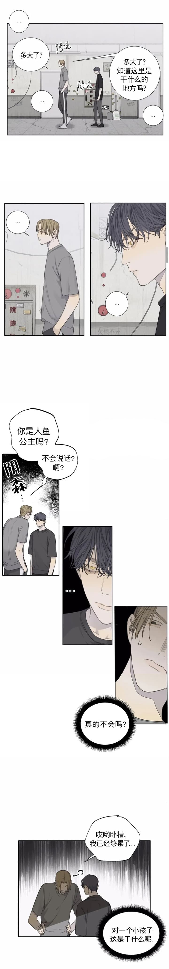 《狂犬(第二季更新)》漫画最新章节第37话免费下拉式在线观看章节第【4】张图片