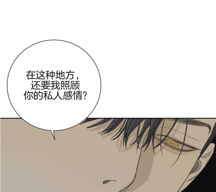 《狂犬(第二季更新)》漫画最新章节第46话免费下拉式在线观看章节第【27】张图片