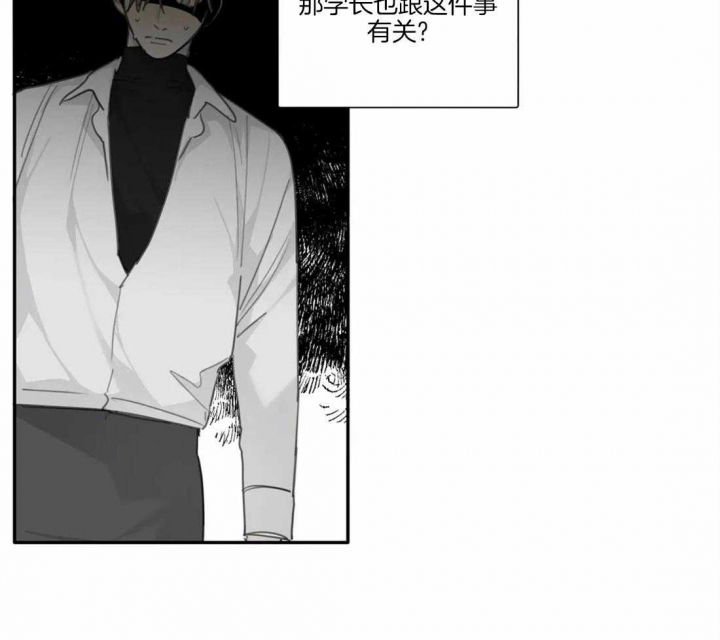 《狂犬(第二季更新)》漫画最新章节第43话免费下拉式在线观看章节第【17】张图片