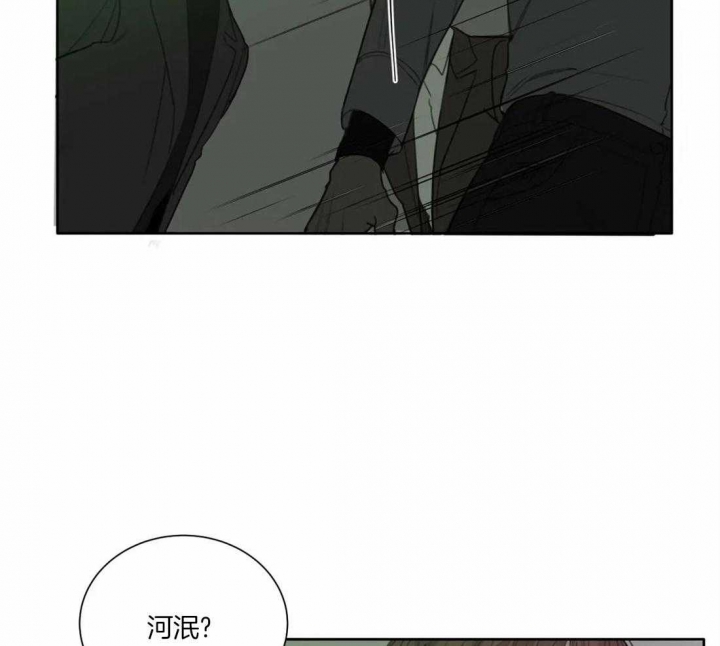 《狂犬(第二季更新)》漫画最新章节第43话免费下拉式在线观看章节第【36】张图片