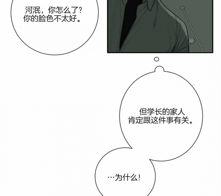 《狂犬(第二季更新)》漫画最新章节第43话免费下拉式在线观看章节第【19】张图片