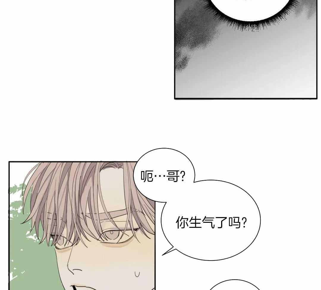 《狂犬(第二季更新)》漫画最新章节第59话免费下拉式在线观看章节第【29】张图片