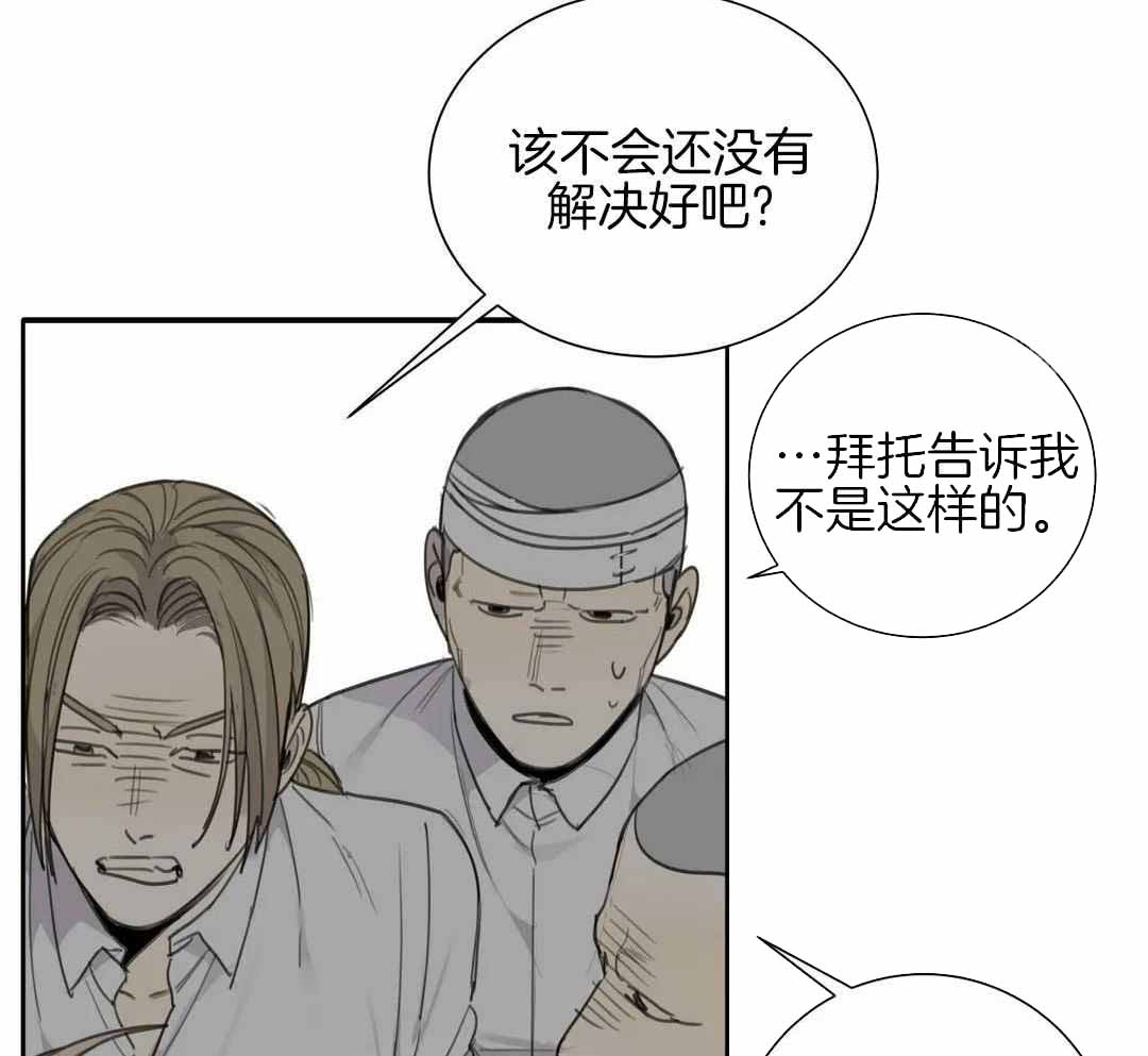 《狂犬(第二季更新)》漫画最新章节第67话免费下拉式在线观看章节第【37】张图片