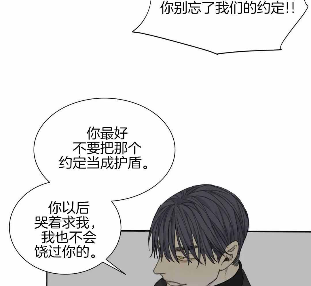 《狂犬(第二季更新)》漫画最新章节第67话免费下拉式在线观看章节第【6】张图片