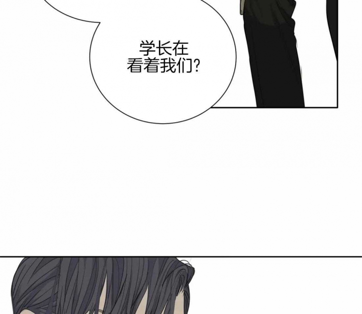 《狂犬(第二季更新)》漫画最新章节第45话免费下拉式在线观看章节第【37】张图片