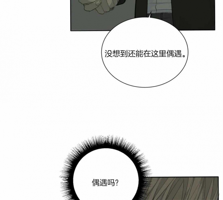 《狂犬(第二季更新)》漫画最新章节第43话免费下拉式在线观看章节第【27】张图片