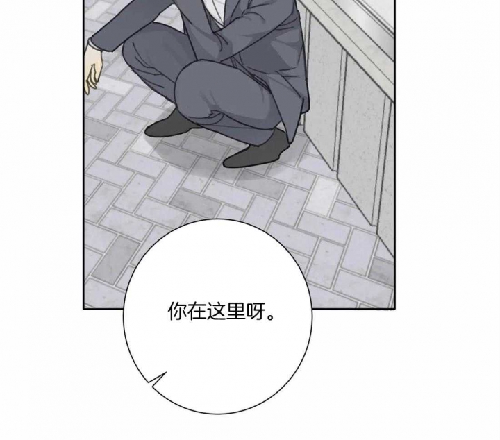 《狂犬(第二季更新)》漫画最新章节第48话免费下拉式在线观看章节第【2】张图片