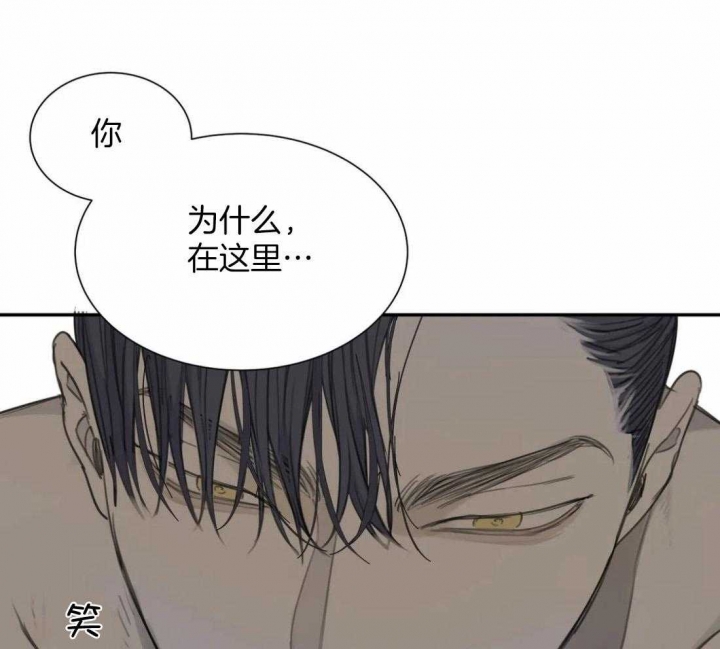 《狂犬(第二季更新)》漫画最新章节第49话免费下拉式在线观看章节第【8】张图片