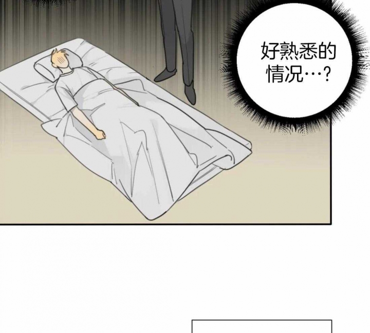 《狂犬(第二季更新)》漫画最新章节第49话免费下拉式在线观看章节第【34】张图片